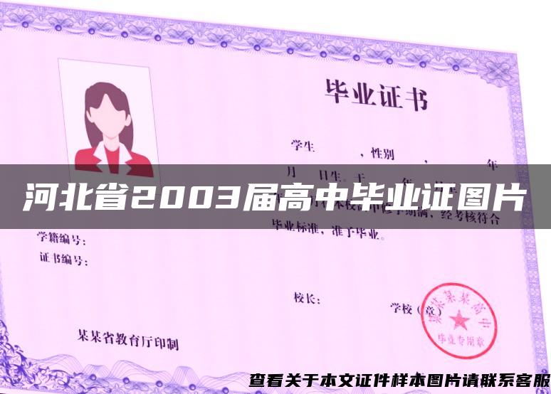 河北省2003届高中毕业证图片