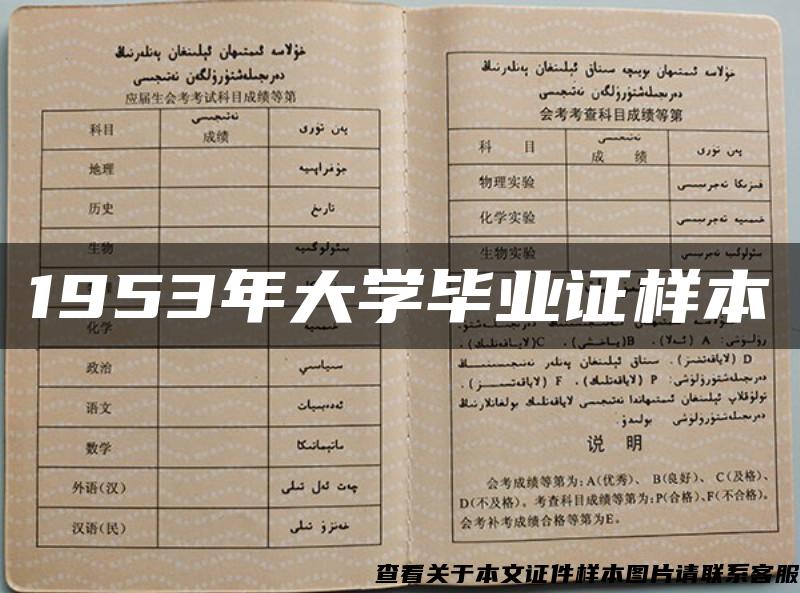 1953年大学毕业证样本