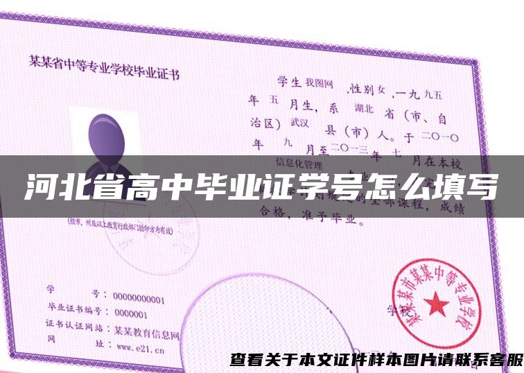 河北省高中毕业证学号怎么填写