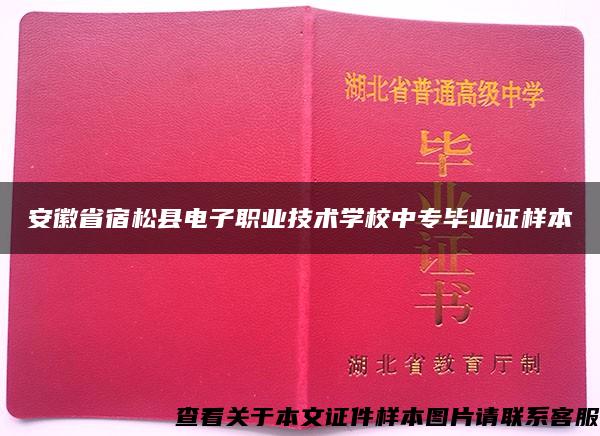 安徽省宿松县电子职业技术学校中专毕业证样本
