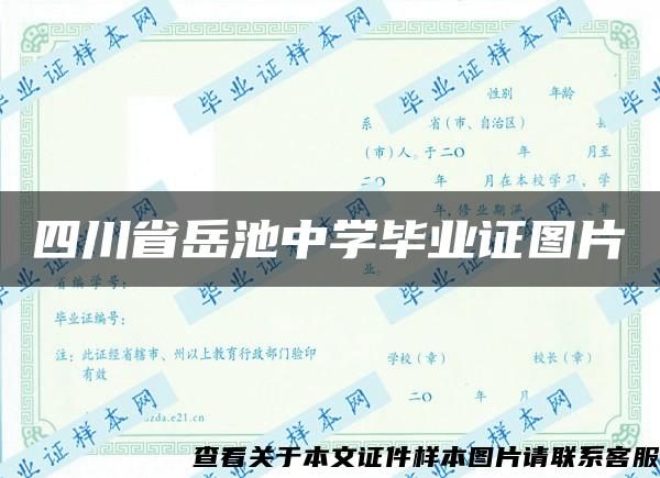 四川省岳池中学毕业证图片