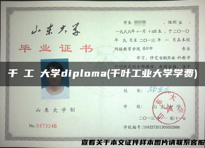 千葉工業大学diploma(千叶工业大学学费)