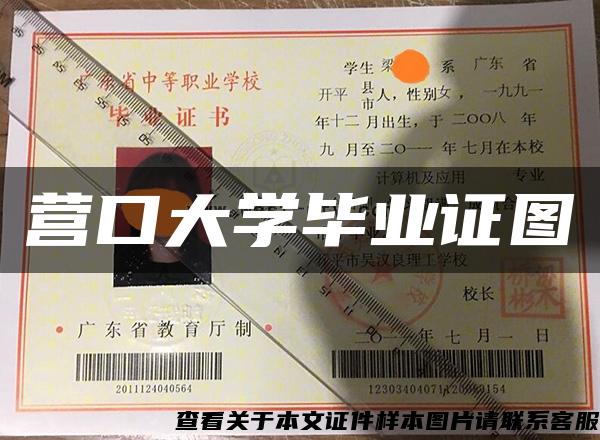 营口大学毕业证图