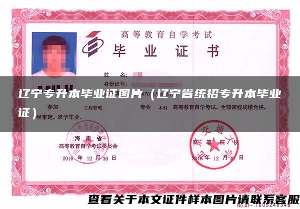 辽宁专升本毕业证图片(辽宁省统招专升本毕业证) 辽宁专升本毕业证图片(辽宁省统招专升本毕业证)