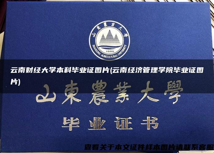 云南财经大学本科毕业证图片(云南经济管理学院毕业证图片)