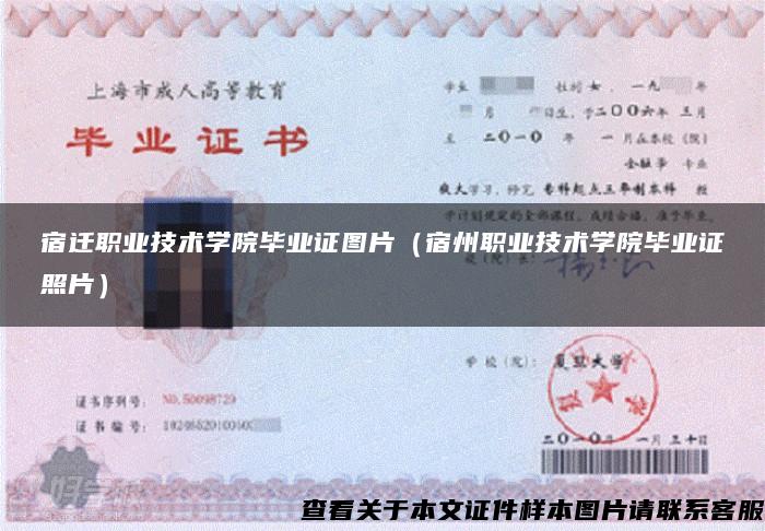 宿迁职业技术学院毕业证图片（宿州职业技术学院毕业证照片）