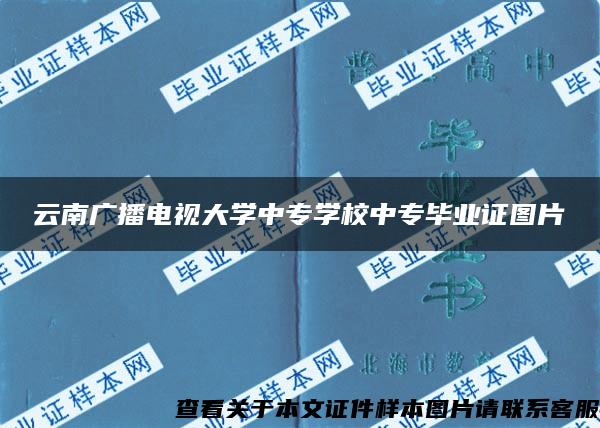 云南广播电视大学中专学校中专毕业证图片