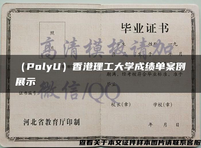 （PolyU）香港理工大学成绩单案例展示