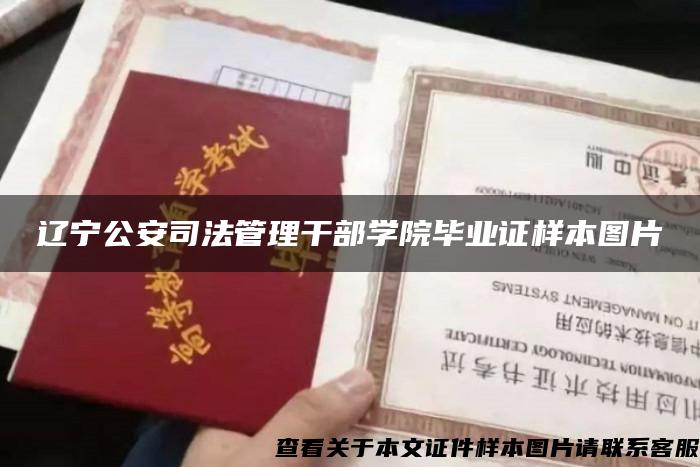 辽宁公安司法管理干部学院毕业证样本图片