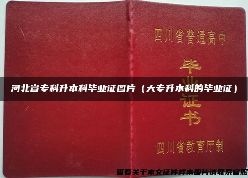 河北省专科升本科毕业证图片（大专升本科的毕业证）