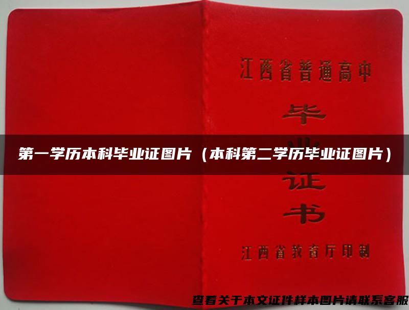 第一学历本科毕业证图片(本科第二学历毕业证图片) 第一学历本科毕业证图片(本科第二学历毕业证图片)