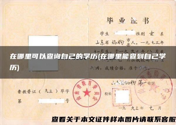 在哪里可以查询自己的学历(在哪里能查到自己学历) 在哪里可以查询自己的学历(在哪里能查到自己学历)