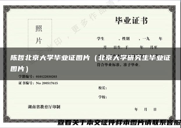 陈哲北京大学毕业证图片（北京大学研究生毕业证图片）