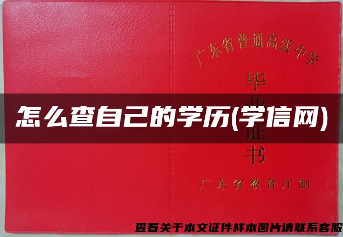 怎么查自己的学历(学信网)