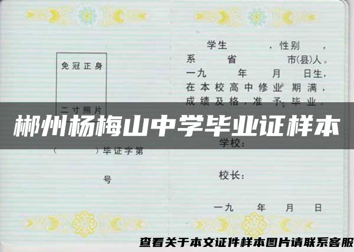 郴州杨梅山中学毕业证样本