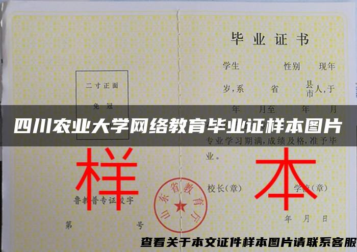 四川农业大学网络教育毕业证样本图片