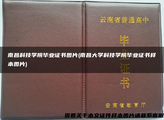 南昌科技学院毕业证书图片(南昌大学科技学院毕业证书样本图片)