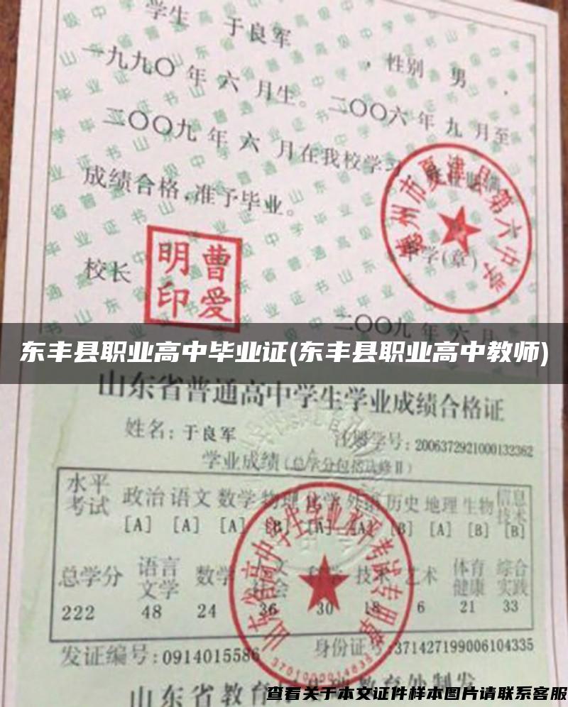 东丰县职业高中毕业证(东丰县职业高中教师)