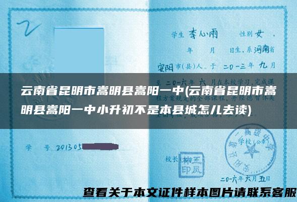 云南省昆明市嵩明县嵩阳一中(云南省昆明市嵩明县嵩阳一中小升初不是本县城怎儿去读)