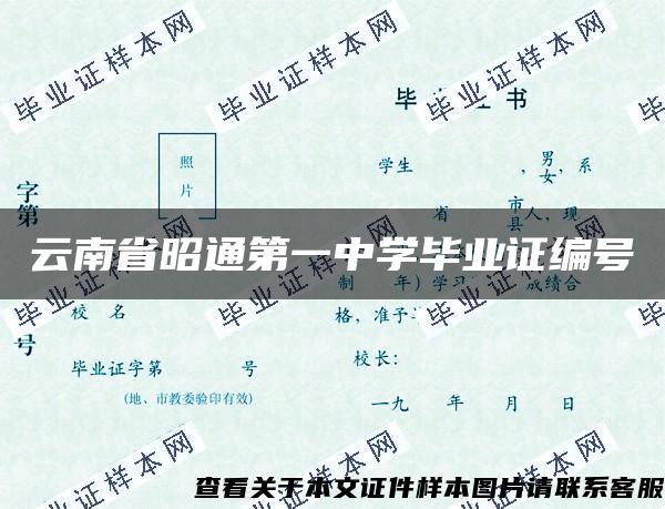 云南省昭通第一中学毕业证编号