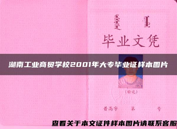 湖南工业商贸学校2001年大专毕业证样本图片