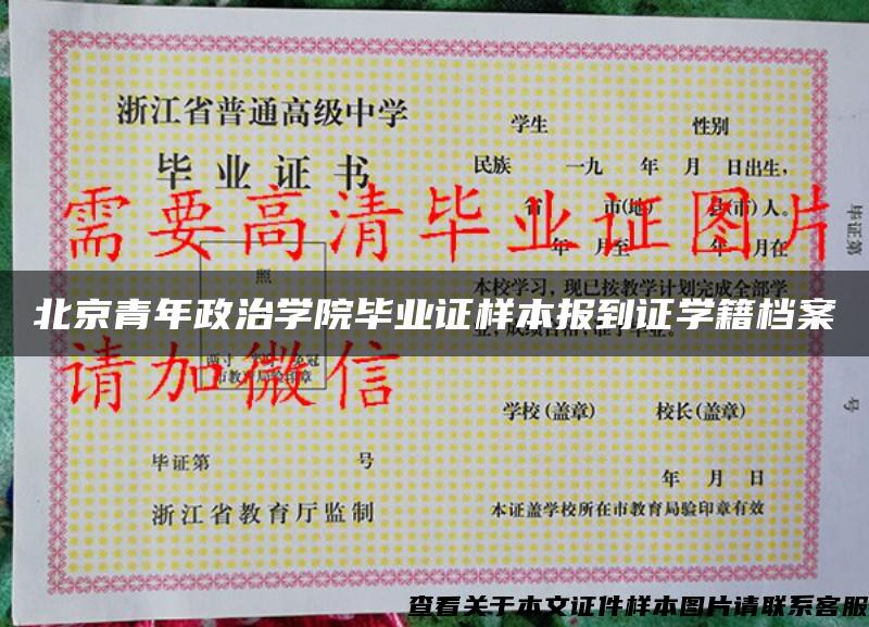 北京青年政治学院毕业证样本报到证学籍档案