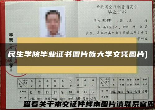 民生学院毕业证书图片族大学文凭图片)