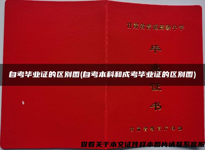 自考毕业证的区别图(自考本科和成考毕业证的区别图)