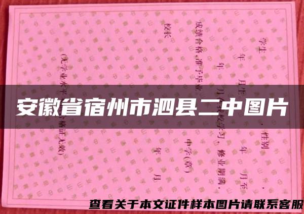 安徽省宿州市泗县二中图片