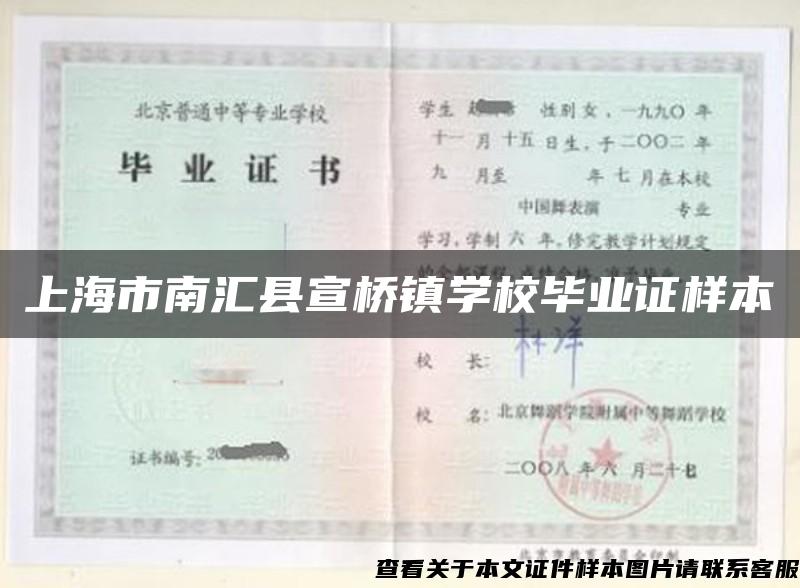 上海市南汇县宣桥镇学校毕业证样本