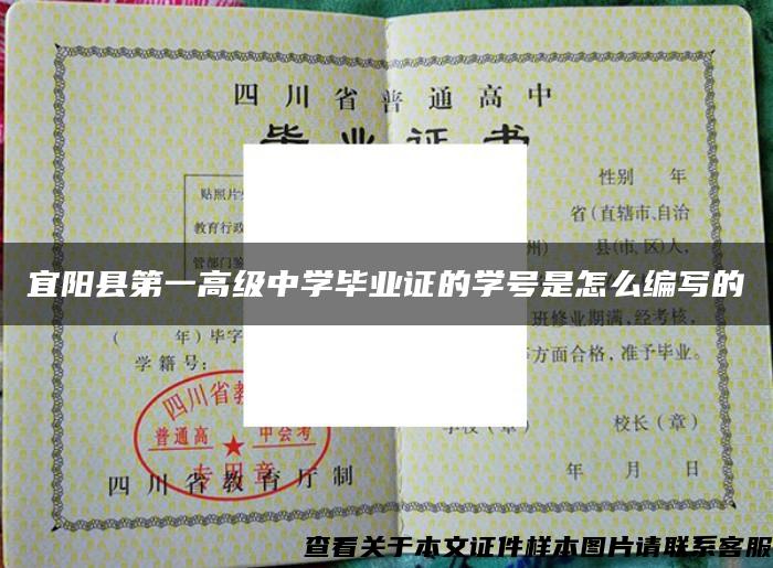 宜阳县第一高级中学毕业证的学号是怎么编写的