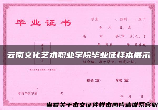 云南文化艺术职业学院毕业证样本展示