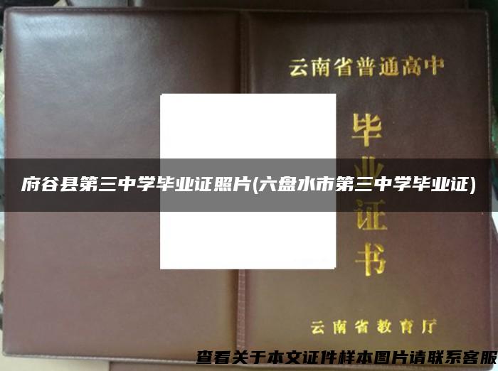 府谷县第三中学毕业证照片(六盘水市第三中学毕业证)
