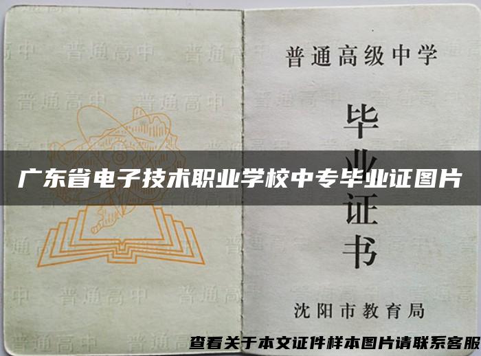 广东省电子技术职业学校中专毕业证图片