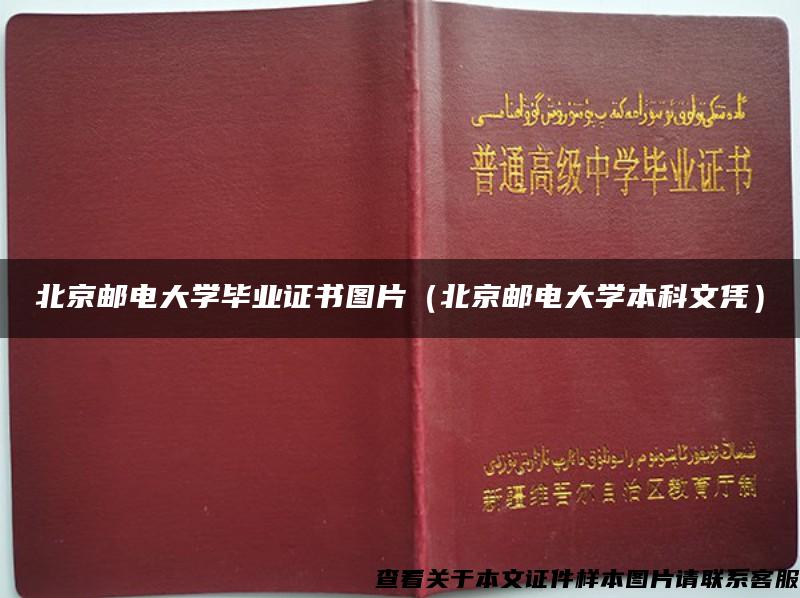 北京邮电大学毕业证书图片（北京邮电大学本科文凭）