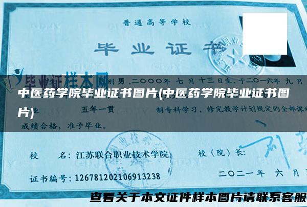 中医药学院毕业证书图片(中医药学院毕业证书图片)