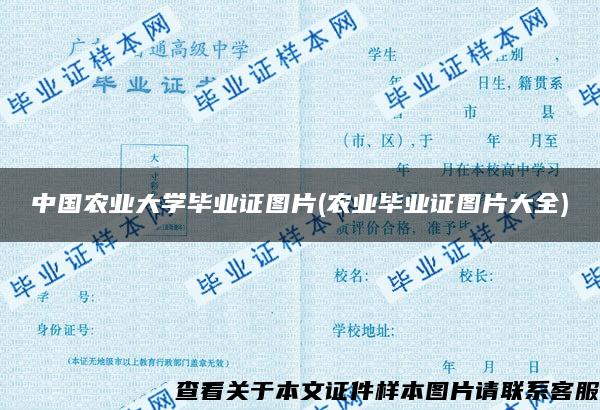 中国农业大学毕业证图片(农业毕业证图片大全)