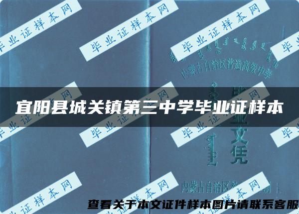 宜阳县城关镇第三中学毕业证样本