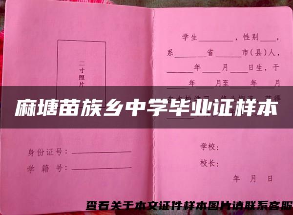 麻塘苗族乡中学毕业证样本