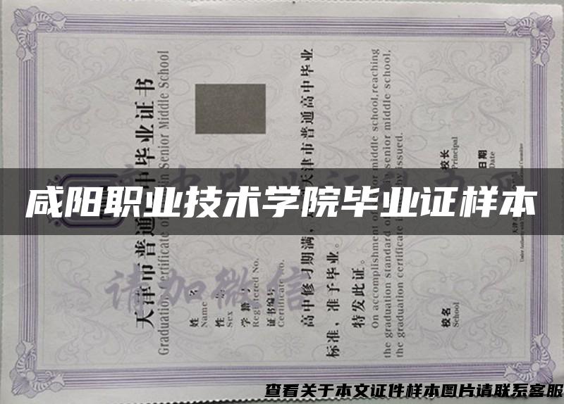 咸阳职业技术学院毕业证样本