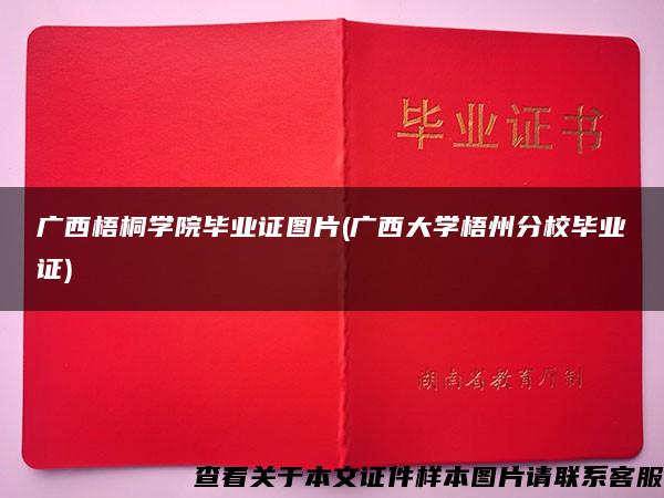 广西梧桐学院毕业证图片(广西大学梧州分校毕业证)