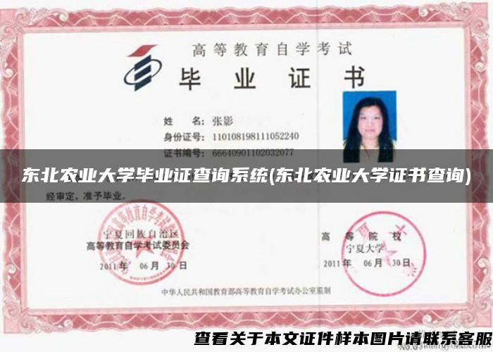 东北农业大学毕业证查询系统(东北农业大学证书查询)