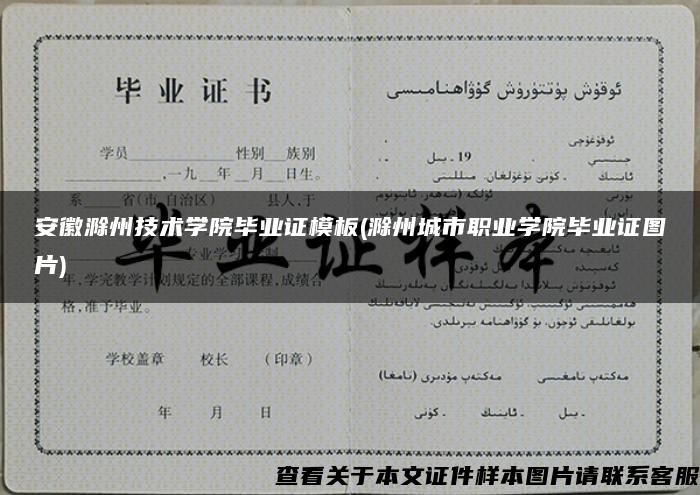 安徽滁州技术学院毕业证模板(滁州城市职业学院毕业证图片)