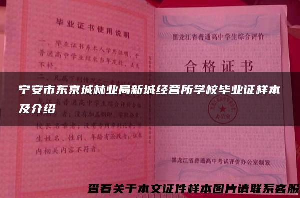 宁安市东京城林业局新城经营所学校毕业证样本及介绍