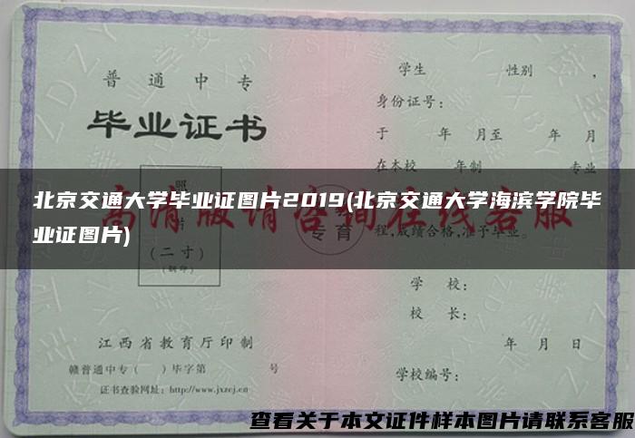 北京交通大学毕业证图片2019(北京交通大学海滨学院毕业证图片)