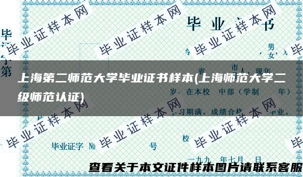 上海第二师范大学毕业证书样本(上海师范大学二级师范认证)
