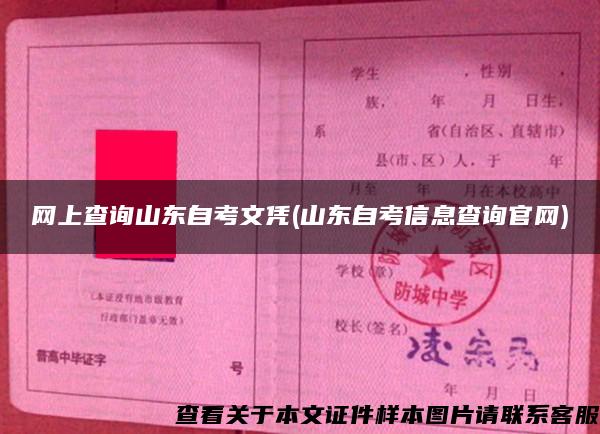 网上查询山东自考文凭(山东自考信息查询官网)