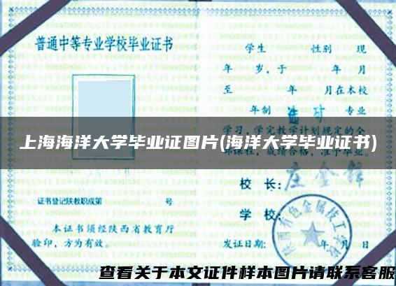 上海海洋大学毕业证图片(海洋大学毕业证书)