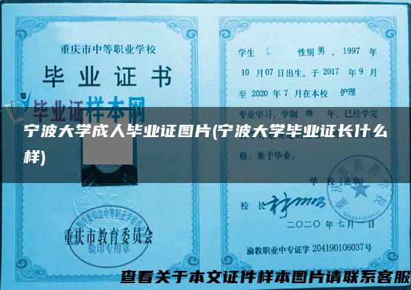 宁波大学成人毕业证图片(宁波大学毕业证长什么样) 宁波大学成人毕业证图片(宁波大学毕业证长什么样)