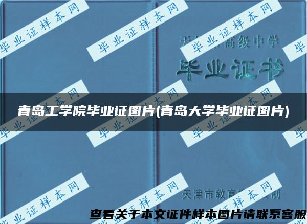 青岛工学院毕业证图片(青岛大学毕业证图片)